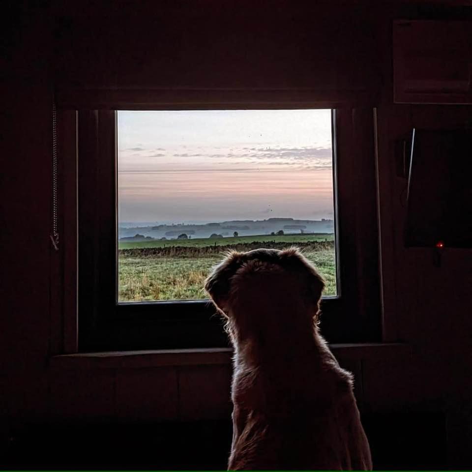 Luxury Shepherd Hut In The Peak District Бейквелл Екстер'єр фото